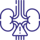 NEPHROLOGY