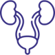 UROLOGY